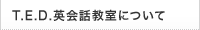 T.E.D.�p��b�����ɂ���