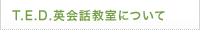 T.E.D.�p��b�����ɂ���